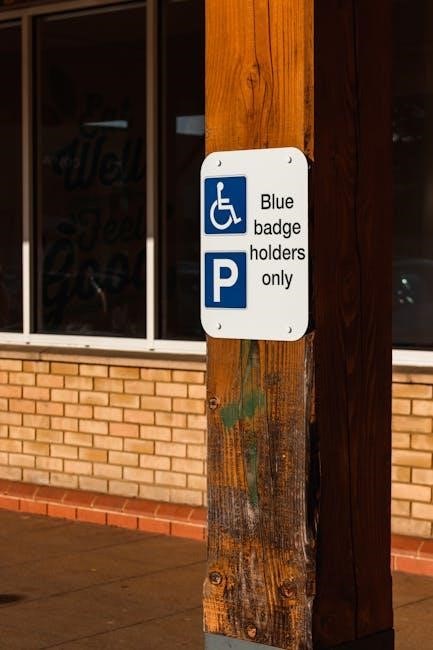 disability visibility pdf disability visibility pdf